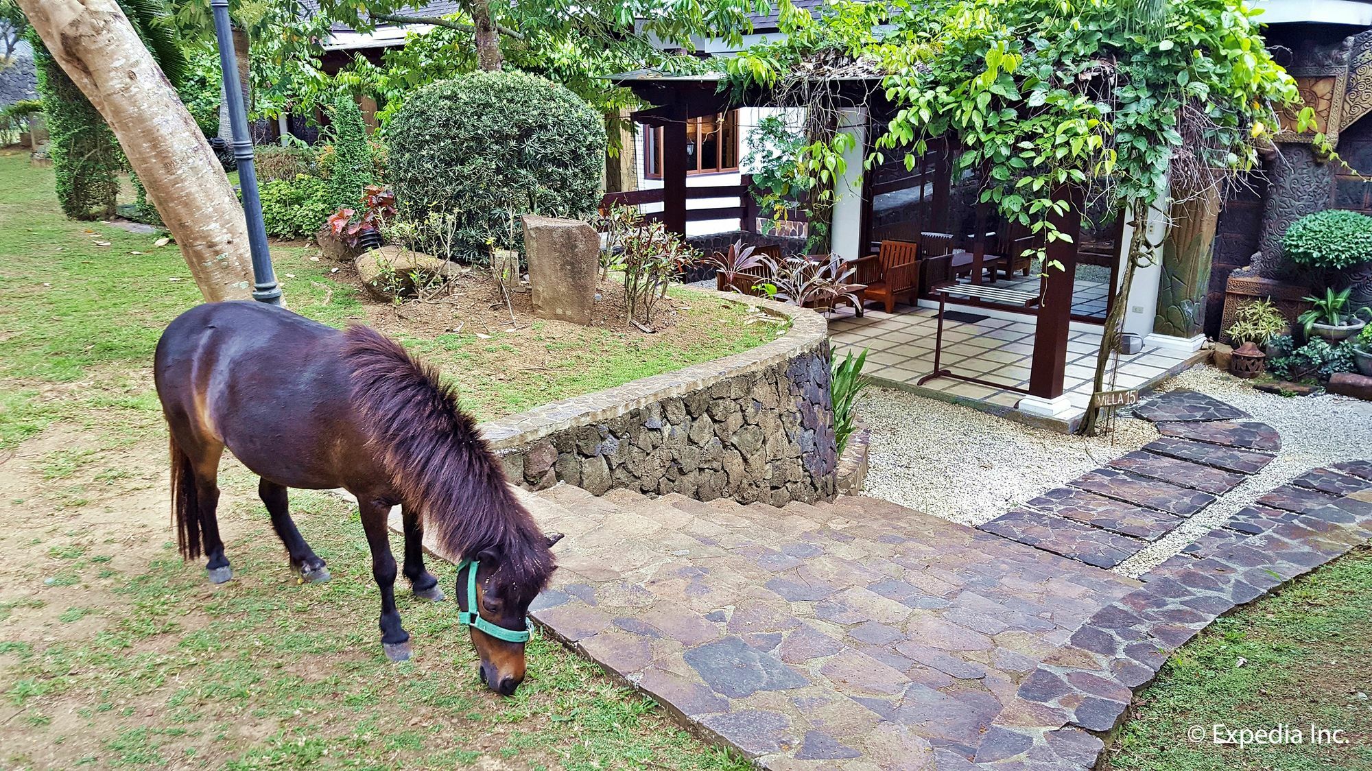 Villa Cintai Corito'S Garden à Batangas Extérieur photo